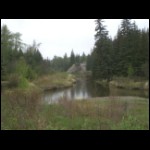 CIMG6075.JPG