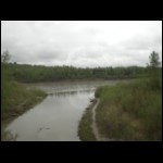 CIMG6096.JPG