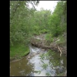 CIMG6794.JPG